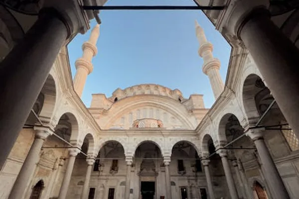 المداخل والساحات