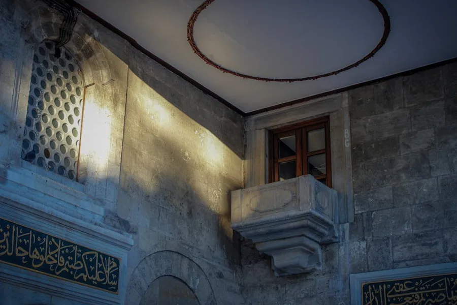 Windows & Entrances